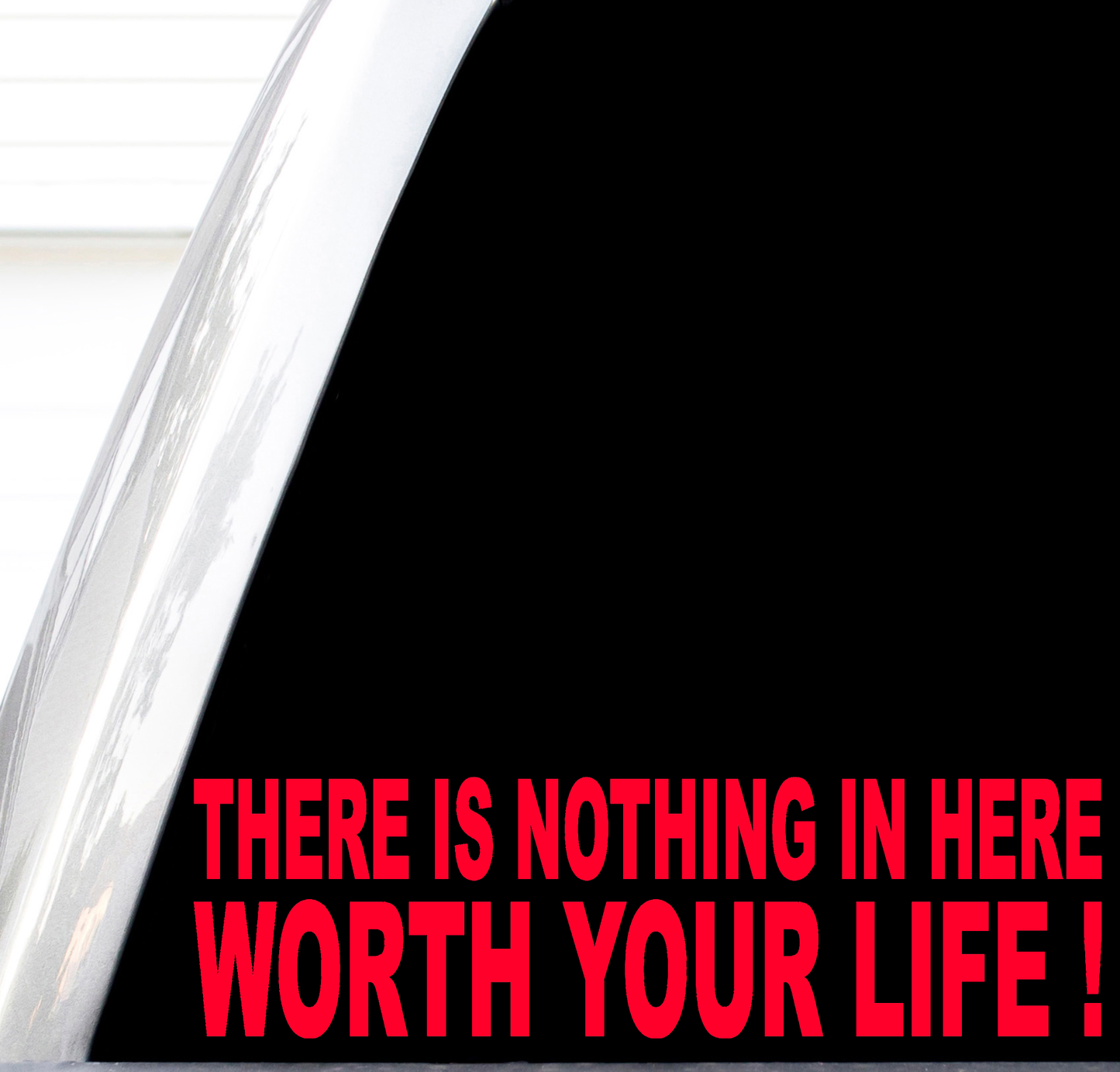 There Is Nothing In Here Worth Your Life Decal, No Trespassing