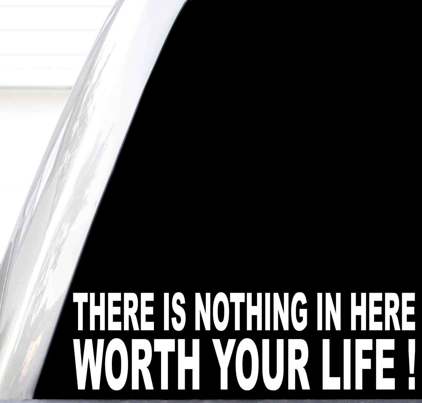 There Is Nothing In Here Worth Your Life Decal, No Trespassing