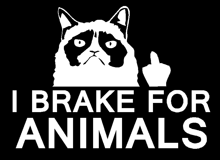 I Brake For Animals Decal, Funny Middle Finger Cat Decal