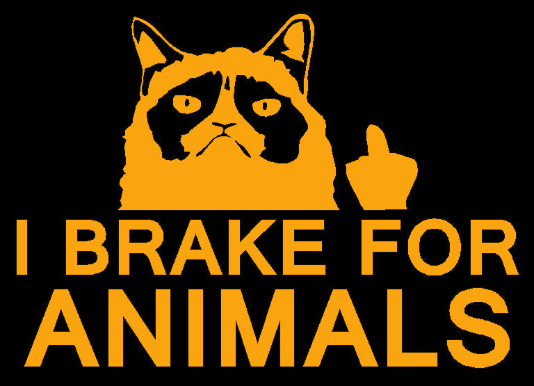 I Brake For Animals Decal, Funny Middle Finger Cat Decal